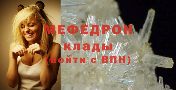 дмт Богданович
