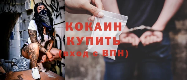 дмт Богданович
