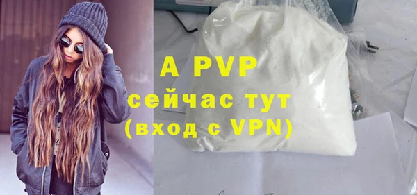 дмт Богданович