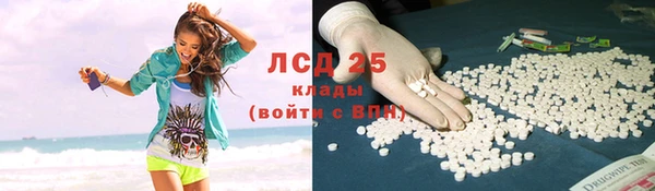 дмт Богданович