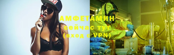 дмт Богданович