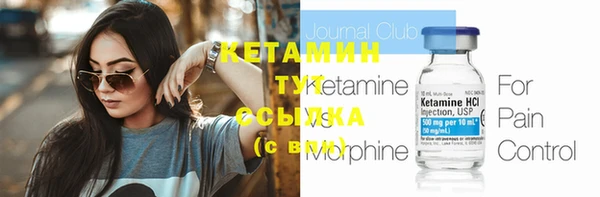 дмт Богданович