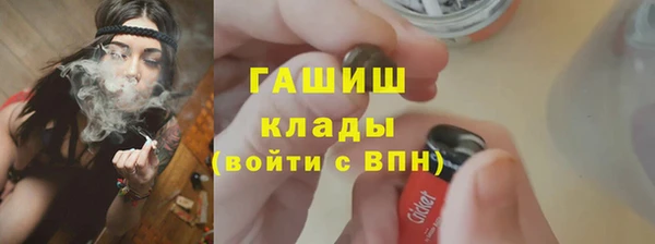 дмт Богданович