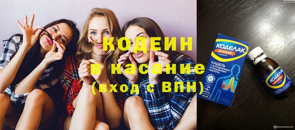 дмт Богданович