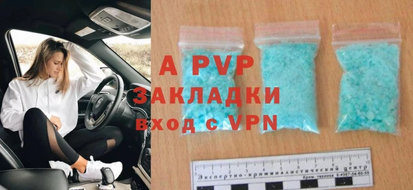 дмт Богданович