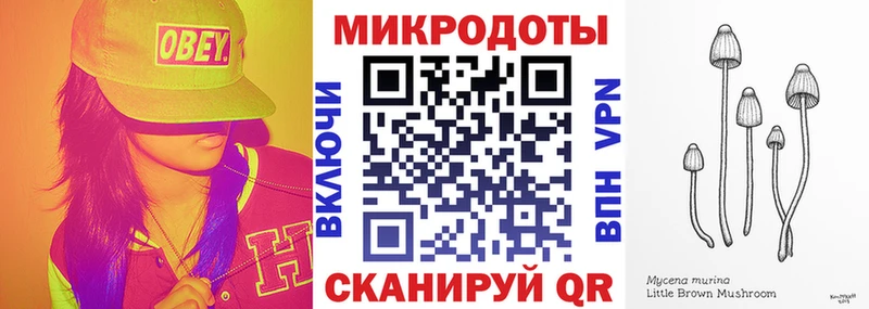 Псилоцибиновые грибы Cubensis  Наволоки 